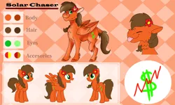 Size: 6000x3632 | Tagged: safe, artist:euspuche, derpibooru import, oc, oc:solar chaser, pegasus, pony, flower, flower in hair, reference sheet