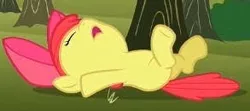 Size: 293x130 | Tagged: safe, derpibooru import, screencap, apple bloom, earth pony, pony, the super speedy cider squeezy 6000, adorabloom, applebetes, cropped, cute, fainted, female, filly, on back, passed out, solo