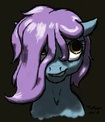 Size: 950x1100 | Tagged: safe, artist:trefoiler, derpibooru import, oc, oc:hone chaser, unofficial characters only, earth pony, pony, bust, dark background, female, filly, floppy ears, hair over one eye, smiling, solo