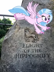 Size: 3024x4032 | Tagged: safe, artist:hendro107, artist:marches45, derpibooru import, silverstream, classical hippogriff, hippogriff, pony, female, flight of the hippogriff, florida, harry potter, hippogriffs in real life, irl, orlando, photo, ponies in real life, real life background, solo, theme park, universal studios, universal's islands of adventure