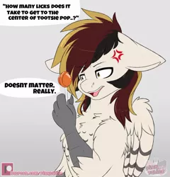 Size: 876x913 | Tagged: angry, artist:pinktabico, bust, candy, chest fluff, cross-popping veins, derpibooru import, dialogue, floppy ears, food, hippogriff, hippogriff oc, lollipop, male, oc, oc:silent flight, patreon, patreon logo, safe, shrunken pupils, solo, speech bubble, talons, unofficial characters only, vein bulge, wing fluff