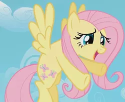 Size: 879x720 | Tagged: safe, derpibooru import, screencap, fluttershy, pegasus, pony, may the best pet win, cropped, cute, hug, incoming hug