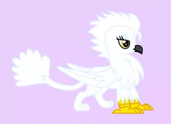 Size: 1253x905 | Tagged: safe, artist:silver star apple, artist:silverstarapple, derpibooru import, oc, oc:aquilla snowstorm, bird, gryphon, backstory, backstory in description, duster, female, golden eyes, leonine tail, pink background, simple background, solo, white, winged, wings, yellow eyes