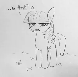 Size: 1283x1279 | Tagged: safe, artist:tjpones, derpibooru import, twilight sparkle, pony, unicorn, dialogue, female, grayscale, lidded eyes, looking at you, mare, monochrome, pencil drawing, sarcasm, simple background, solo, traditional art, twilight is not amused, unamused, unicorn twilight