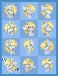 Size: 1636x2148 | Tagged: safe, artist:taiga-blackfield, derpibooru import, oc, oc:cutting chipset, unofficial characters only, pony, angry, blushing, embarrassed, emote, emotes, floppy ears, glare, happy, sad, sleeping, smug, surprised, text