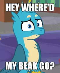 Size: 804x972 | Tagged: safe, derpibooru import, edit, edited screencap, screencap, gallus, gryphon, hybrid, pony, what lies beneath, abomination, beakless, caption, confused, cropped, cursed image, frown, god is dead, image macro, looking at you, male, meme, missing accessory, muzzle, oh no, pony-muzzled griffon, pure unfiltered evil, sitting, solo focus, text, text edit, wat, what has science done, wide eyes, worried, wtf