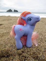 Size: 1280x1707 | Tagged: safe, artist:travelling-my-little-pony, derpibooru import, crystal lake, pony, beach, diva pose, g3, looking at you, photo, sand, toy