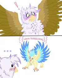 Size: 1152x1440 | Tagged: safe, artist:ambergerr, derpibooru import, gilda, princess skystar, gryphon, hippogriff, my little pony: the movie, behaving like a bird, bird noises, birds doing bird things, courtship, derp, descriptive noise, female, happy, hippogriffs doing bird things, horsebird, lesbian, mating dance, screech, screeching, skylda, spread wings, wings