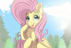 Size: 2039x1378 | Tagged: safe, artist:meowmavi, derpibooru import, fluttershy, pegasus, pony, chest fluff, cute, ear fluff, female, mare, open mouth, shyabetes, tree