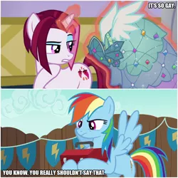 Size: 1000x1000 | Tagged: safe, derpibooru import, edit, edited screencap, screencap, cayenne, rainbow dash, pegasus, pony, unicorn, canterlot boutique, the cart before the ponies, caption, commercial, commercial reference, gay, image macro, male, pony posh, text