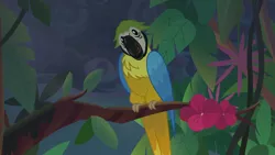 Size: 1920x1080 | Tagged: safe, derpibooru import, screencap, bird, blue-and-yellow macaw, macaw, parrot, equestria girls, equestria girls series, spring breakdown, spoiler:eqg series (season 2), animal, flower, head tilt, solo