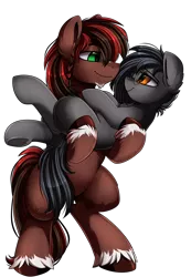 Size: 2343x3395 | Tagged: safe, artist:pridark, derpibooru import, oc, oc:aubade, oc:liath mac medb, unofficial characters only, earth pony, pony, bridal carry, carrying, commission, couple, dawwww, female, gift art, holding a pony, husband, husband and wife, just married, male, mare, simple background, stallion, straight, transparent background, wife