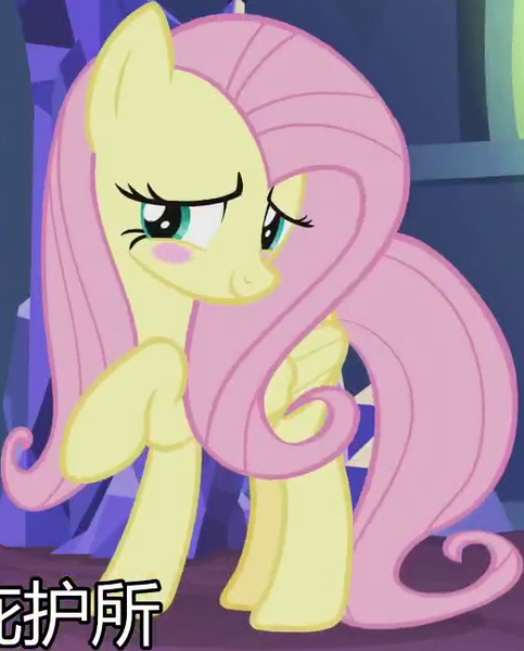 Size: 520x646 | Tagged: safe, derpibooru import, screencap, fluttershy, pegasus, pony, the last laugh, blushing, chinese text, cropped, cute, daaaaaaaaaaaw, female, hnnng, mare, raised hoof, shyabetes, solo, subtitles, weapons-grade cute