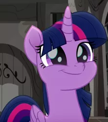 Size: 955x1080 | Tagged: safe, derpibooru import, screencap, twilight sparkle, twilight sparkle (alicorn), alicorn, pony, rainbow roadtrip, book, cropped, cute, daaaaaaaaaaaw, female, hnnng, library, mare, smiling, solo, squee, that pony sure does love books, twiabetes