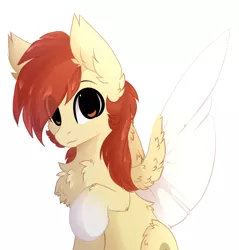 Size: 1548x1620 | Tagged: safe, artist:little-sketches, derpibooru import, oc, oc:render point, pegasus, pony, male, simple background, solo, stallion, two toned wings, white background, wings