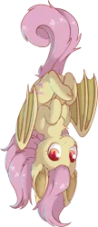 Size: 4886x11309 | Tagged: safe, artist:cutepencilcase, derpibooru import, fluttershy, bat pony, pony, vampire, vampony, bat ponified, bat wings, chest fluff, cute, ear fluff, fangs, female, flutterbat, hooves to the chest, looking at you, mare, race swap, shyabates, shyabetes, simple background, smiling, solo, three quarter view, transparent background, upside down, wings