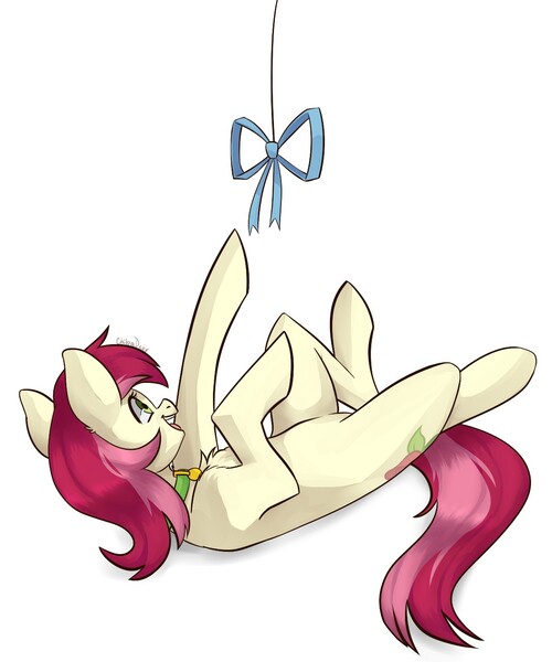 Size: 1161x1392 | Tagged: safe, artist:chibadeer, derpibooru import, roseluck, cat, cat pony, earth pony, original species, pony, behaving like a cat, bow, chest fluff, collar, cute, cuteluck, ear fluff, female, fluffy, mare, on back, pet tag, pony pet, rosepet, solo