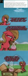 Size: 885x2404 | Tagged: safe, artist:hewison, derpibooru import, oc, oc:pun, earth pony, pony, ask pun, ask, cloudsdale, female, mare, potion, solo
