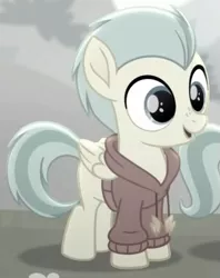 Size: 439x553 | Tagged: safe, derpibooru import, screencap, pickle barrel, pegasus, pony, rainbow roadtrip, clothes, colt, cropped, cute, foal, hoodie, male, picklebetes, smiling, solo, wings