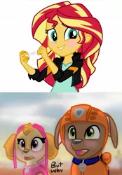 Size: 1050x1509 | Tagged: safe, artist:rainbow eevee, derpibooru import, editor:sunnyshine1cak, sunset shimmer, dog, equestria girls, barely pony related, blushing, chocolate lab, clothes, collar, crossover, desert, dialogue, female, implied bisexual, implied group sex, implied sex, implied shipping, implied threesome, jacket, leather jacket, open mouth, paw patrol, pregnancy test, pregnancy test meme, pregnant, shocked, simple background, skye, smiling, text, wat, white background, why, wtf, zuma