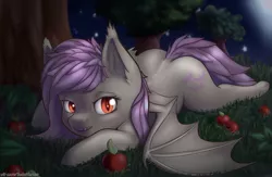 Size: 1280x832 | Tagged: safe, artist:kelniferion, derpibooru import, fluttershy, bat pony, pony, apple, bat ponified, bat wings, fangs, female, flutterbat, food, looking at you, mare, night, open mouth, prone, race swap, red eyes, solo, spread wings, three quarter view, under the tree, wings