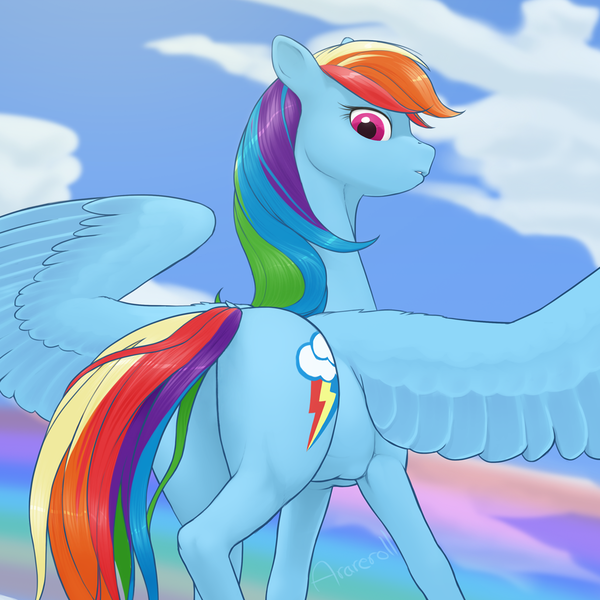 Size: 1280x1280 | Tagged: safe, artist:arareroll, derpibooru import, edit, rainbow dash, pegasus, pony, backwards cutie mark, featureless crotch, female, looking at you, looking back, looking back at you, mare, solo