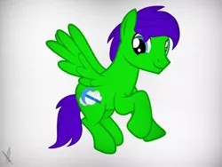 Size: 1024x768 | Tagged: safe, artist:reziepony, derpibooru import, oc, oc:raulix evergreen, pegasus, pony, cute, flying, happy, male, shading, smiling, solo, stallion, vector