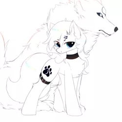 Size: 1000x1000 | Tagged: safe, artist:heddopen, derpibooru import, oc, oc:loulou, unofficial characters only, pony, wolf, belt, chest fluff, ear fluff, female, fluffy, fluffy tail, hairpin, jewelry, looking at you, mare, necklace, pure white, solo