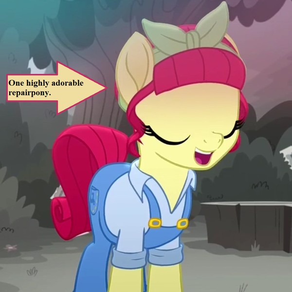 Size: 972x972 | Tagged: arrow, atorqueable, captain obvious, clothes, cropped, cute, derpibooru import, edit, edited screencap, overalls, rainbow roadtrip, safe, screencap, text, torque wrench, truth