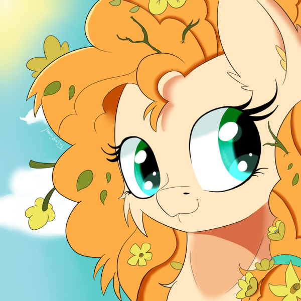 Size: 1500x1500 | Tagged: safe, artist:fajnyziomal, derpibooru import, pear butter, pony, bust, cheek fluff, cloud, cute, ear fluff, female, flower, flower in hair, mare, messy mane, pearabetes, portrait, sky, solo, sun, twig