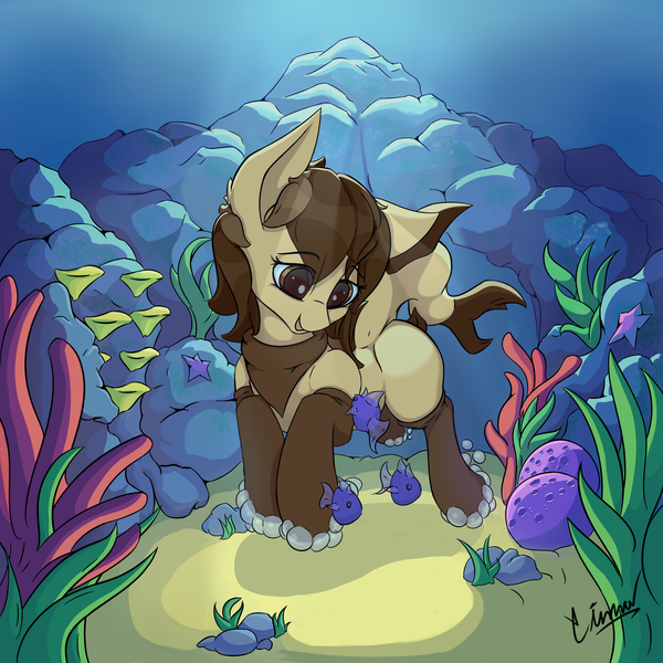 Size: 2100x2100 | Tagged: safe, artist:sinnah, derpibooru import, oc, oc:apii, original species, pony, shark, shark pony, commission, solo