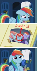 Size: 848x1625 | Tagged: safe, derpibooru import, edit, edited screencap, screencap, bow hothoof, rainbow dash, windy whistles, pegasus, pony, parental glideance, abuse, background pony strikes again, crying, cunt, dashabuse, female, filly, male, mare, sad, stallion, vulgar