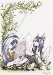 Size: 679x960 | Tagged: safe, artist:nastylady, derpibooru import, oc, oc:lemur, unofficial characters only, pegasus, pony, clothes, solo, traditional art