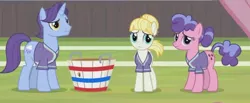 Size: 896x368 | Tagged: safe, derpibooru import, screencap, berry blend, berry bliss, november rain, summer breeze, pony, 2 4 6 greaaat, buckball, friendship student