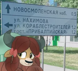 Size: 750x680 | Tagged: artist:dashiesparkle, artist:rainbow eevee, bust, cute, cyrillic, derpibooru import, icon, irl, monkey swings, photo, portrait, russia, russian, safe, sankt petersburg, sign, solo, traffic signal, wat, yona, yonadorable