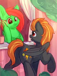 Size: 3000x4000 | Tagged: safe, artist:alphadesu, derpibooru import, oc, oc:digidash, oc:watermelon frenzy, unofficial characters only, pegasus, pony, bush, curtain, hooves, looking at each other, male, plant, smiling, trap, tree, window, wings