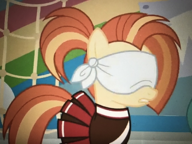 Size: 4032x3024 | Tagged: safe, derpibooru import, screencap, shimmy shake, pony, 2 4 6 greaaat, blindfold, cropped, photo, picture of a screen, solo