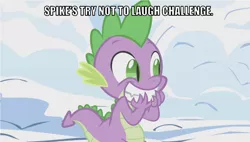 Size: 639x362 | Tagged: caption, derpibooru import, dragon, edit, edited screencap, editor:undeadponysoldier, hands on face, image macro, male, meme, safe, screencap, smiling, snow, solo, spike, stifling laughter, teeth, text, try not to laugh challenge, winter wrap up