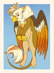Size: 1108x1480 | Tagged: safe, artist:sungoddessokami, derpibooru import, oc, oc:ember burd, unofficial characters only, gryphon, behaving like a cat, colored wings, dangling, eared griffon, gradient background, gradient wings, griffon oc, grumpy, looking to side, male, multicolored wings, paws, scruff, solo, spread wings, talons, wings