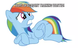 Size: 750x461 | Tagged: safe, derpibooru import, edit, editor:undeadponysoldier, rainbow dash, pegasus, pony, buzz lightyear, caption, female, funny, image macro, lying down, mare, meme, reference, sad, simple background, solo, text, toy story, white background, years of academy training wasted
