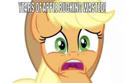 Size: 750x503 | Tagged: safe, derpibooru import, edit, editor:undeadponysoldier, applejack, earth pony, pony, buzz lightyear, caption, female, funny, image macro, lying down, mare, meme, open mouth, reference, simple background, solo, text, toy story, white background, years of academy training wasted