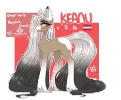 Size: 1024x853 | Tagged: safe, artist:umiimou, derpibooru import, oc, oc:keanu, earth pony, pony, appaloosa, female, gradient mane, hoof fluff, lesbian pride flag, long feather, long mane, long tail, mare, pride, pride flag, reference sheet, simple background, solo, transparent background