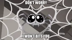 Size: 888x499 | Tagged: big eyes, caption, derpibooru import, desaturated, discovery family logo, edit, edited screencap, happy, heart, image macro, meme, rainbow roadtrip, safe, screencap, spider, spider web, text