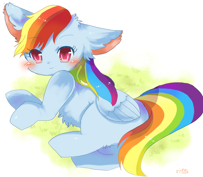 Size: 800x700 | Tagged: safe, artist:tsukuda, derpibooru import, rainbow dash, cat, cat pony, original species, blushing, chest fluff, cute, dashabetes, ear fluff, female, leg fluff, looking at you, pixiv, rainbow cat, solo