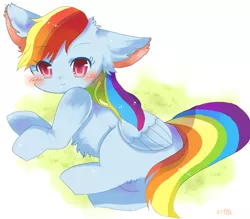 Size: 800x700 | Tagged: safe, artist:tsukuda, derpibooru import, rainbow dash, cat, cat pony, original species, blushing, chest fluff, cute, dashabetes, ear fluff, female, leg fluff, looking at you, pixiv, rainbow cat, solo