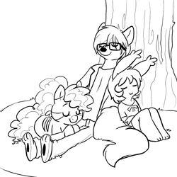 Size: 1000x1000 | Tagged: against tree, animal, anthro, clothes, derpibooru import, glasses, lineart, minituffs, monochrome, non-mlp oc, non-pony oc, oc, oc:minituffs, oc:soran, oc:xieril, rabbit, safe, sleeping, tree, trio, unofficial characters only, zebra