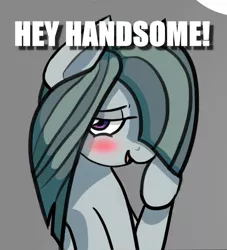 Size: 579x639 | Tagged: safe, artist:riggyrag, derpibooru import, edit, marble pie, earth pony, pony, blushing, caption, cropped, female, flirty, hair over one eye, image macro, looking at you, shy, solo, text