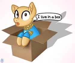 Size: 1458x1220 | Tagged: safe, artist:rainbow eevee, derpibooru import, ponified, pony, atg 2019, box, cute, dialogue, irl, kick the buddy, lol, looking at you, male, newbie artist training grounds, not salmon, open box, open mouth, photo, rope, simple background, solo, talking, text, this will end in pain, video game, wat, what has science done, white background, wood, word bubble