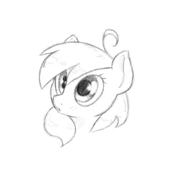 Size: 985x985 | Tagged: safe, artist:trickydick, derpibooru import, oc, oc:top shelf, pony, monochrome, solo