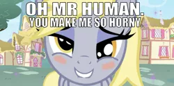 Size: 641x318 | Tagged: suggestive, artist:praise-sunbutt, derpibooru import, edit, edited screencap, editor:undeadponysoldier, screencap, derpy hooves, human, pegasus, pony, adorasexy, bad pickup line, bedroom eyes, blushing, bronybait, caption, cute, female, horny, image macro, implied human, implied human on pony action, implied interspecies, lip bite, looking at you, mare, ponyville, sexy, smiling, solo, sparkles, stupid sexy derpy, talking to viewer, text